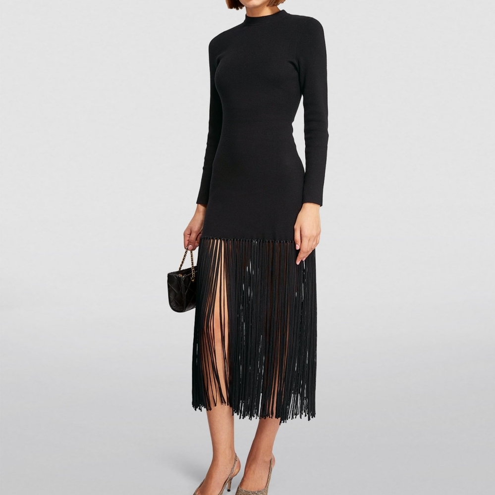 SANDRO fringed knit maxi  dress